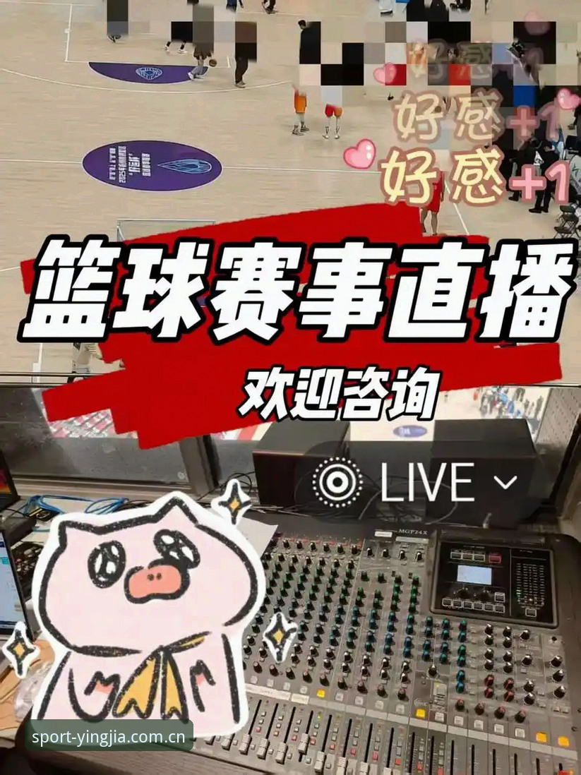 盈嘉体育直播实战经验：资深用户分享如何安全流畅地享受赛事盛宴
